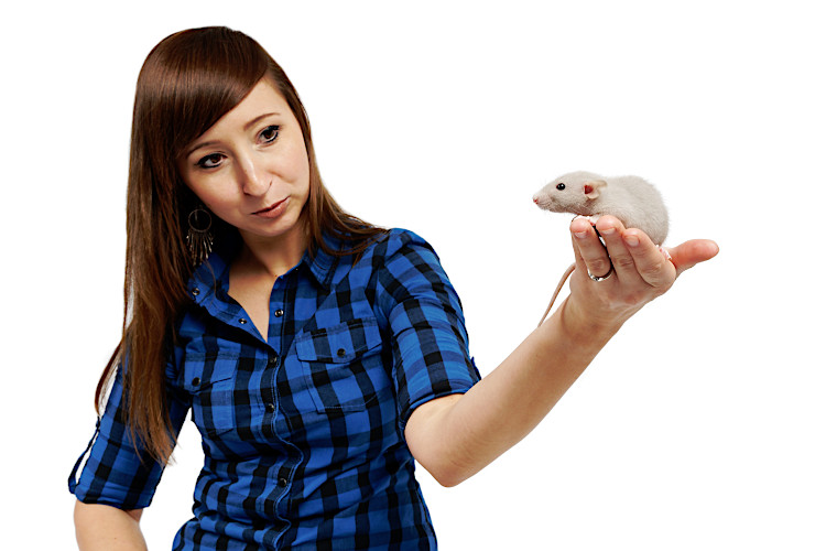 opieka i pielęgnacja szczurka
